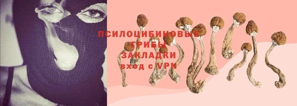 дурь Краснотурьинск