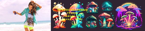 дурь Краснотурьинск