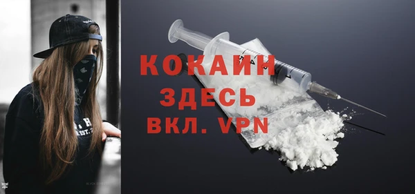 прущие грибы Кукмор