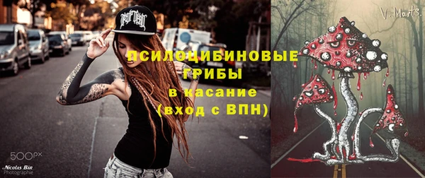 прущие грибы Кукмор