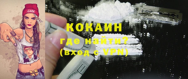 прущие грибы Кукмор