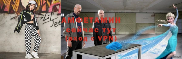 прущие грибы Кукмор