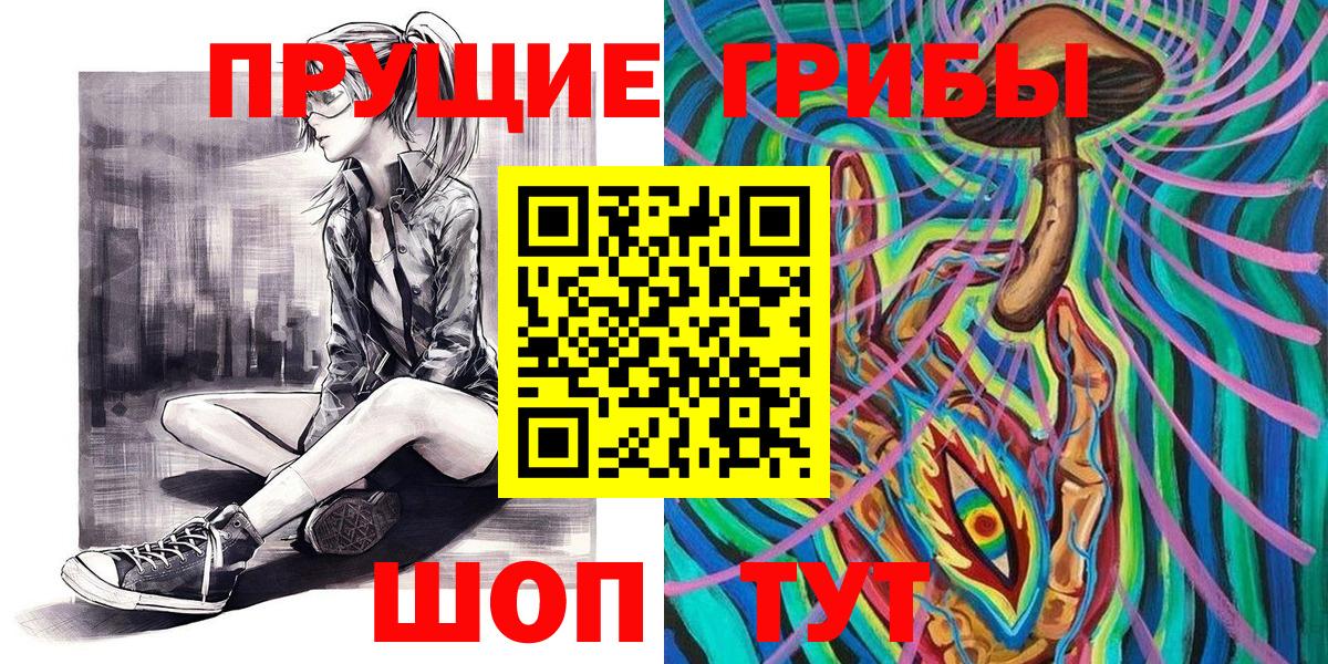 что такое   Краснокамск  Псилоцибиновые грибы Psilocybine cubensis 